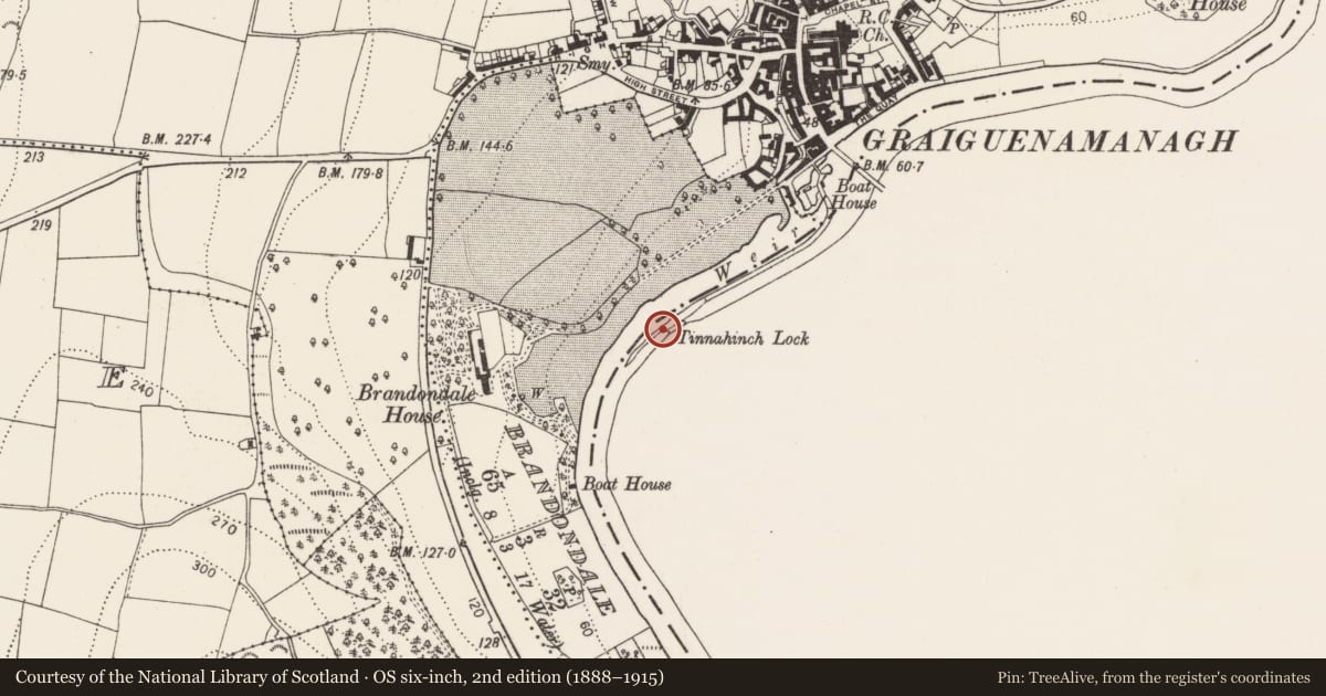 Ordnance Survey six-inch map, 2nd edition (1888–1915) covering the location of Bridge, Tinnahinch, County Carlow, with a pin at the register's coordinates