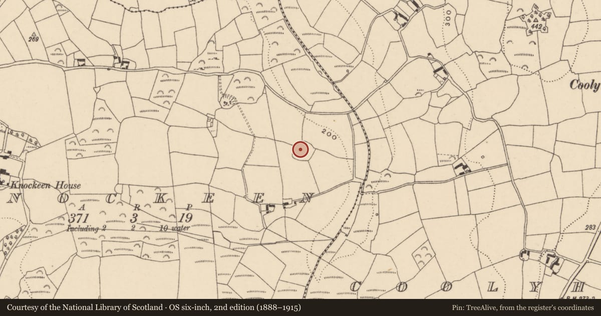 Ordnance Survey six-inch map, 2nd edition (1888–1915) covering the location of Enclosure, Knockeen, County Carlow, with a pin at the register's coordinates