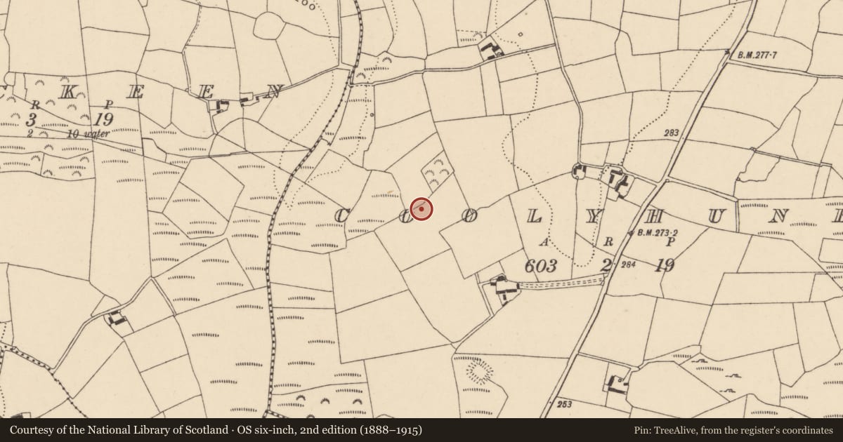 Ordnance Survey six-inch map, 2nd edition (1888–1915) covering the location of Enclosure, Coolyhune, County Carlow, with a pin at the register's coordinates