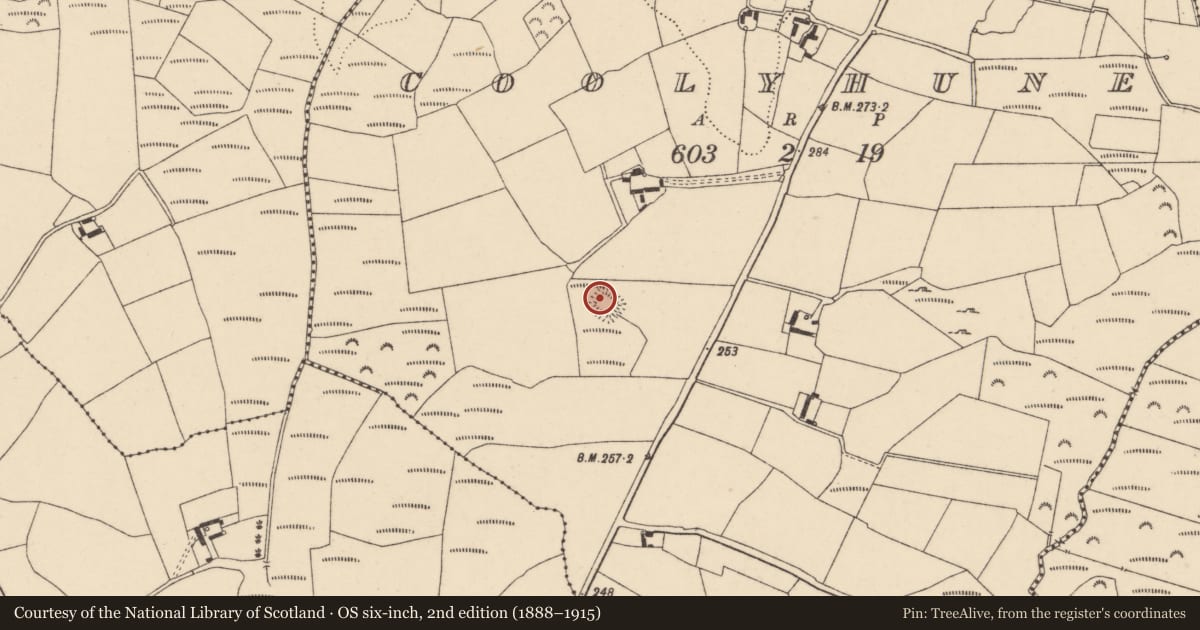Ordnance Survey six-inch map, 2nd edition (1888–1915) covering the location of Moated site, Coolyhune, County Carlow, with a pin at the register's coordinates