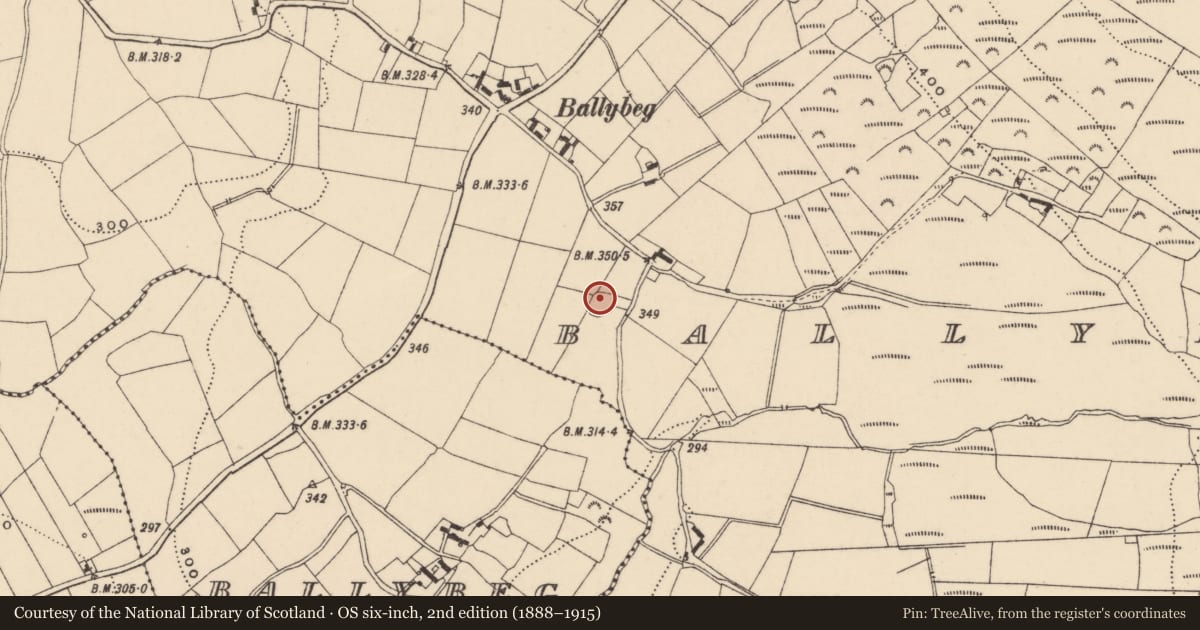 Ordnance Survey six-inch map, 2nd edition (1888–1915) covering the location of Enclosure, Ballybeg Big, County Carlow, with a pin at the register's coordinates