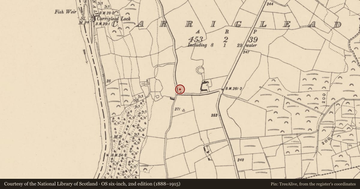 Ordnance Survey six-inch map, 2nd edition (1888–1915) covering the location of Kiln - lime, Carriglead, County Carlow, with a pin at the register's coordinates