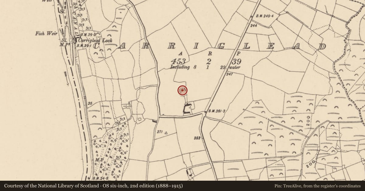Ordnance Survey six-inch map, 2nd edition (1888–1915) covering the location of Ringfort - rath, Carriglead, County Carlow, with a pin at the register's coordinates