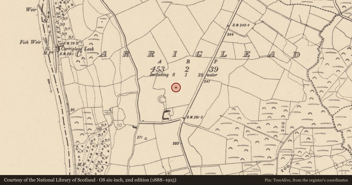 Ordnance Survey six-inch map, 2nd edition (1888–1915) covering the location of Enclosure, Carriglead, County Carlow, with a pin at the register's coordinates