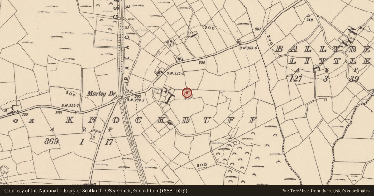 Ordnance Survey six-inch map, 2nd edition (1888–1915) covering the location of Ringfort - cashel, Marley Or Knockduff, County Carlow, with a pin at the register's coordinates