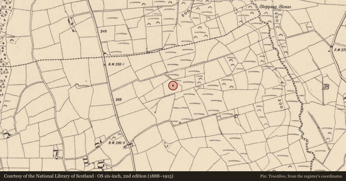 Ordnance Survey six-inch map, 2nd edition (1888–1915) covering the location of Enclosure, Bahana, County Carlow, with a pin at the register's coordinates