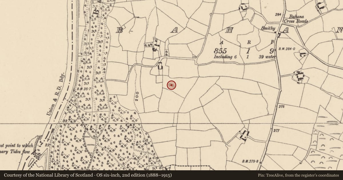 Ordnance Survey six-inch map, 2nd edition (1888–1915) covering the location of Ringfort - rath, Bahana, County Carlow, with a pin at the register's coordinates