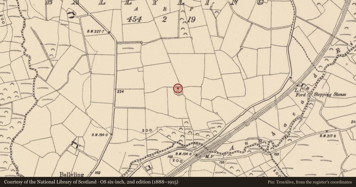 Ordnance Survey six-inch map, 2nd edition (1888–1915) covering the location of Hut site, Ballyling, County Carlow, with a pin at the register's coordinates
