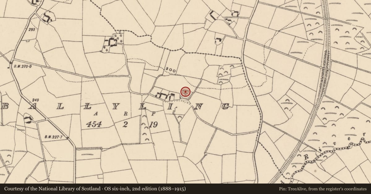 Ordnance Survey six-inch map, 2nd edition (1888–1915) covering the location of Moated site, Ballyling, County Carlow, with a pin at the register's coordinates
