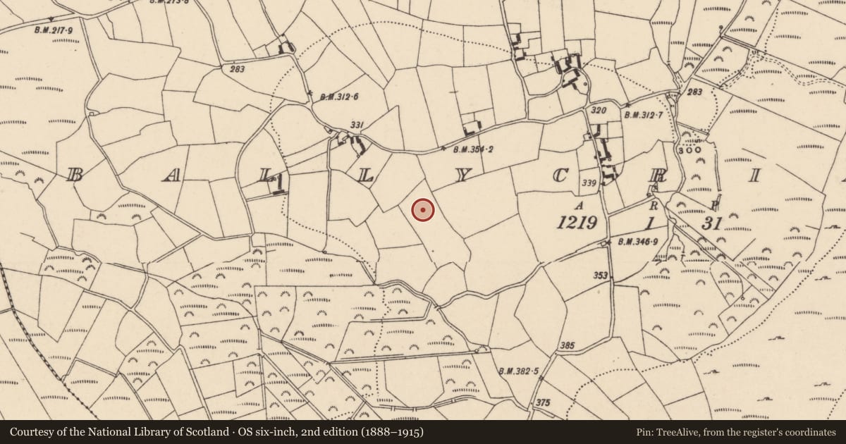 Ordnance Survey six-inch map, 2nd edition (1888–1915) covering the location of Earthwork, Ballycrinnigan, County Carlow, with a pin at the register's coordinates