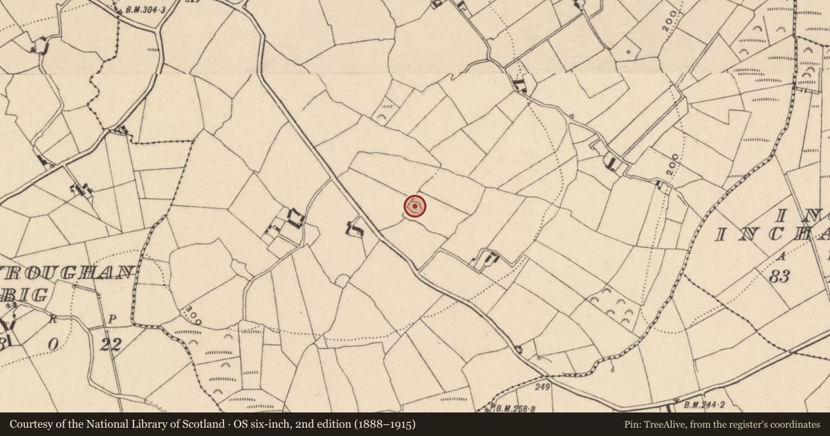 Ordnance Survey six-inch map, 2nd edition (1888–1915) covering the location of Ringfort - cashel, Tinnacarrig, County Carlow, with a pin at the register's coordinates
