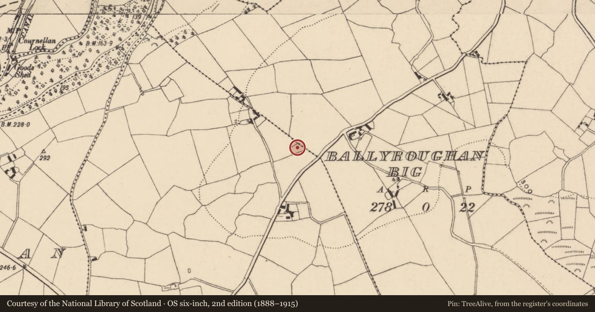 Ordnance Survey six-inch map, 2nd edition (1888–1915) covering the location of Enclosure, Coolnamara, County Carlow, with a pin at the register's coordinates