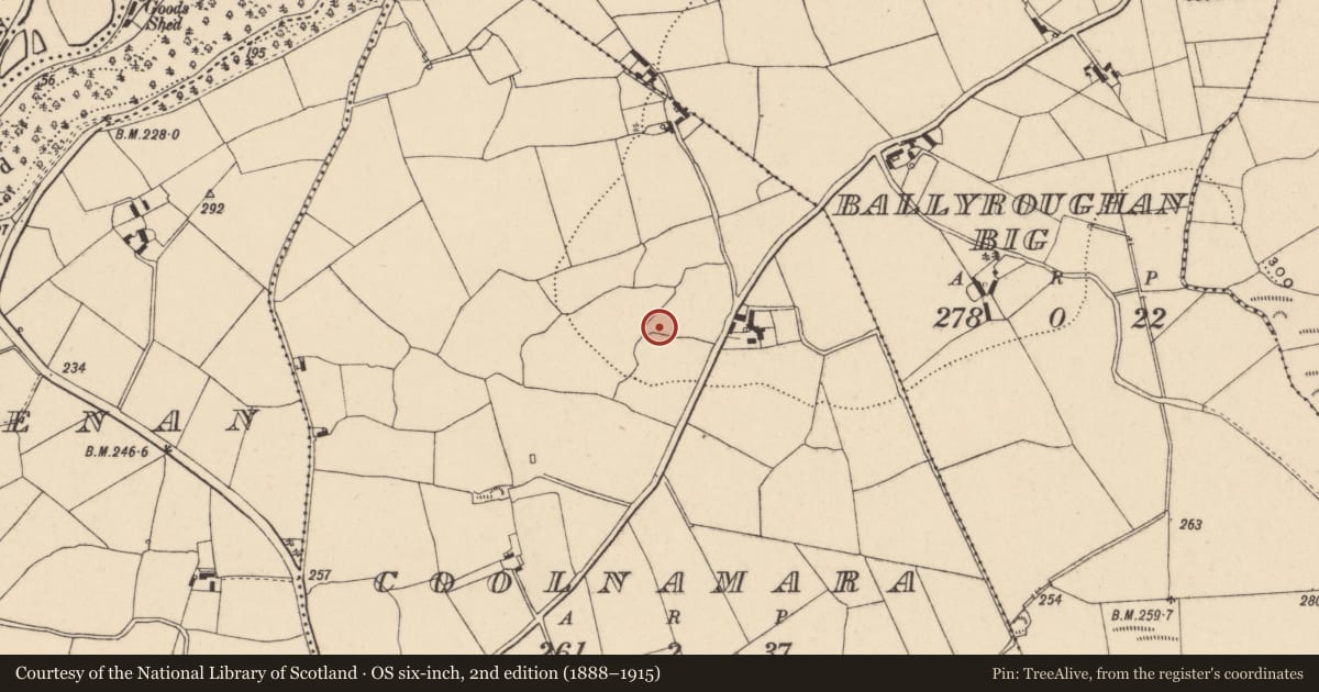 Ordnance Survey six-inch map, 2nd edition (1888–1915) covering the location of Enclosure, Coolnamara, County Carlow, with a pin at the register's coordinates