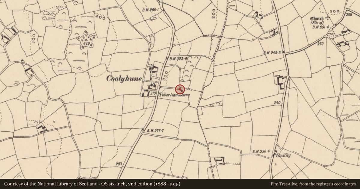 Ordnance Survey six-inch map, 2nd edition (1888–1915) covering the location of Ritual site - holy well, Coolyhune, County Carlow, with a pin at the register's coordinates