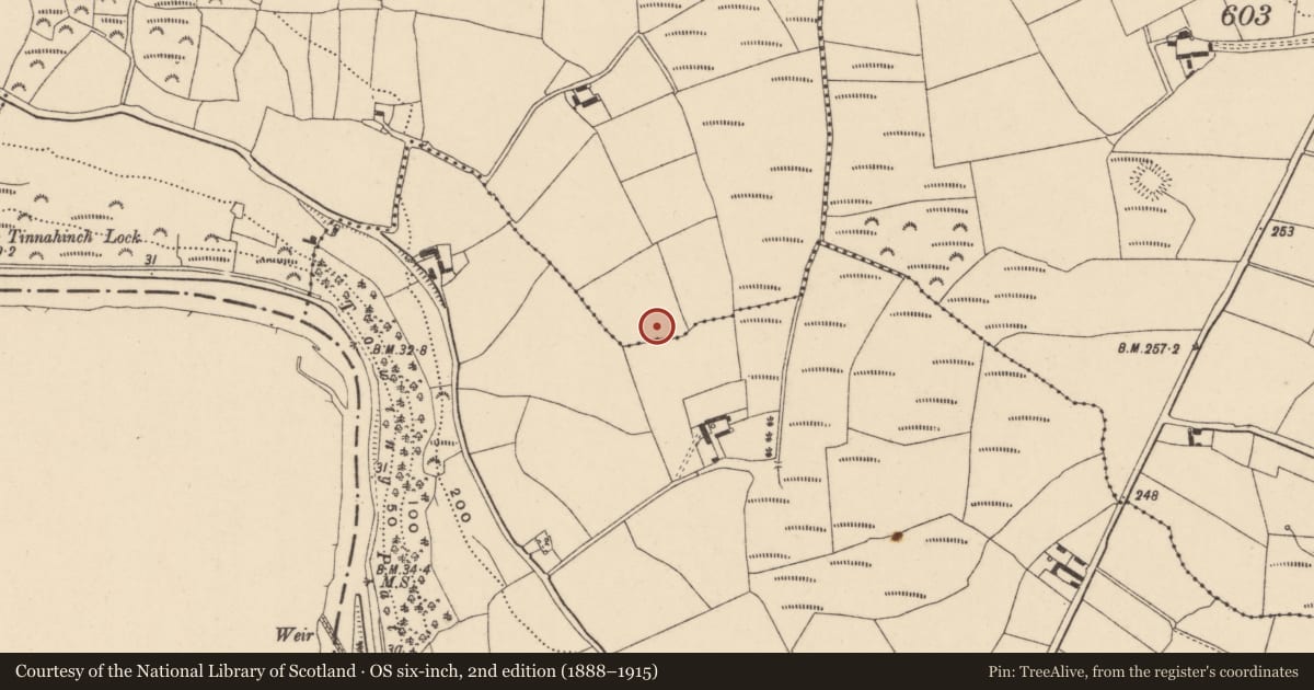 Ordnance Survey six-inch map, 2nd edition (1888–1915) covering the location of Enclosure, Knockeen, County Carlow, with a pin at the register's coordinates