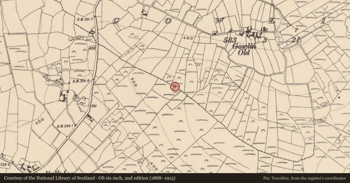 Ordnance Survey six-inch map, 2nd edition (1888–1915) covering the location of Rock art (present location), Gowlin, County Carlow, with a pin at the register's coordinates