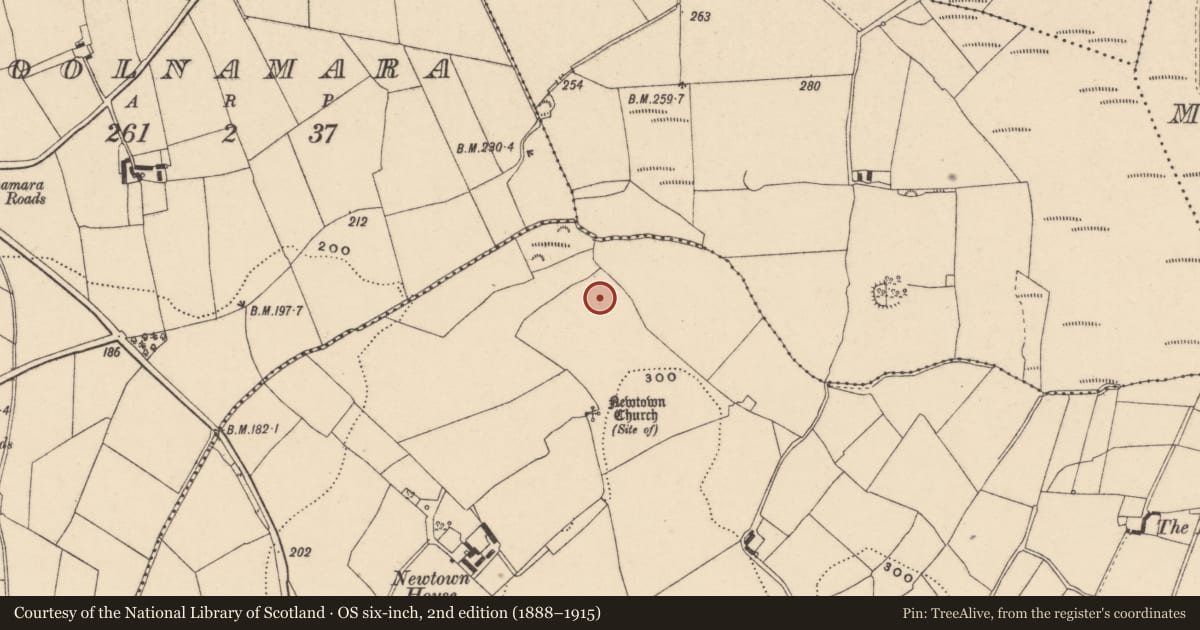 Ordnance Survey six-inch map, 2nd edition (1888–1915) covering the location of Earthwork, Newtown, County Carlow, with a pin at the register's coordinates