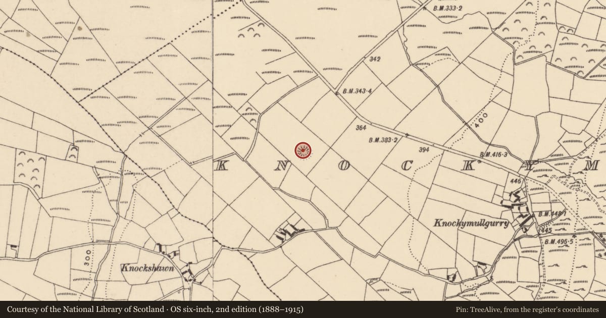 Ordnance Survey six-inch map, 2nd edition (1888–1915) covering the location of Ringfort - rath, Knockymullgurry, County Carlow, with a pin at the register's coordinates