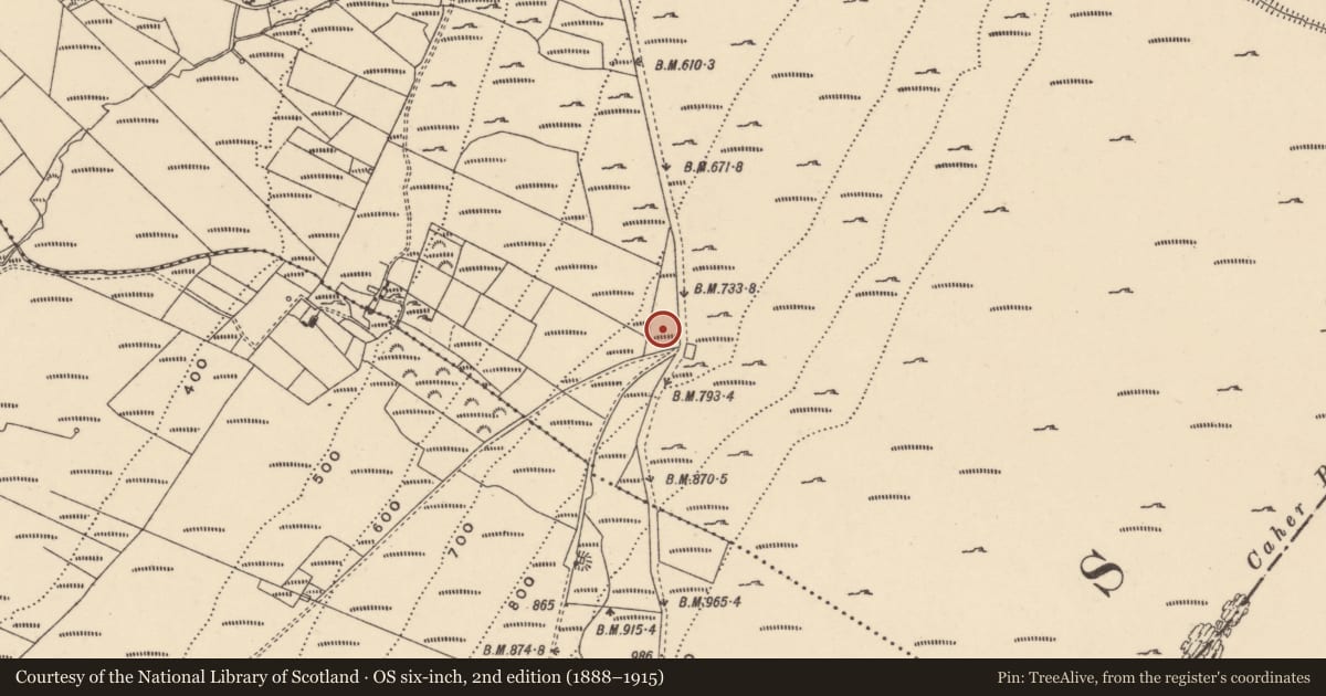Ordnance Survey six-inch map, 2nd edition (1888–1915) covering the location of Standing stone, Knockymullgurry, County Carlow, with a pin at the register's coordinates