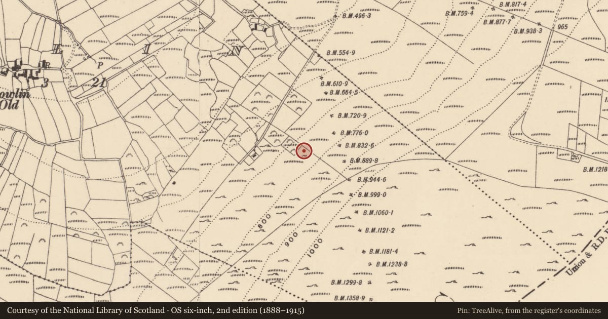 Ordnance Survey six-inch map, 2nd edition (1888–1915) covering the location of Structure, Gowlin, County Carlow, with a pin at the register's coordinates