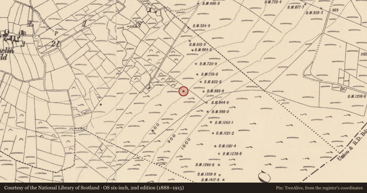 Ordnance Survey six-inch map, 2nd edition (1888–1915) covering the location of Charcoal-making site, Gowlin, County Carlow, with a pin at the register's coordinates
