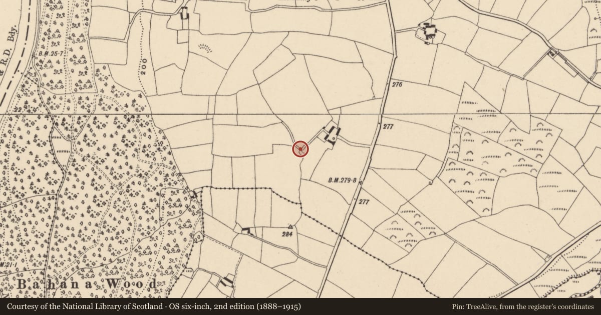 Ordnance Survey six-inch map, 2nd edition (1888–1915) covering the location of Ringfort - cashel, Bahana, County Carlow, with a pin at the register's coordinates