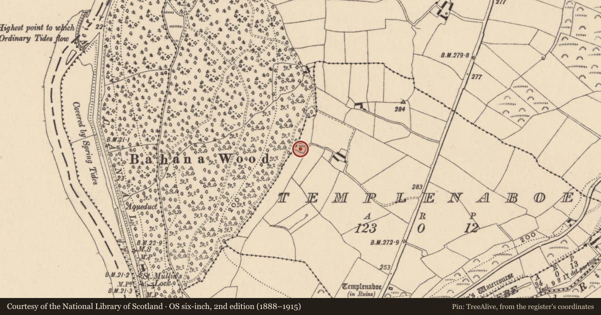 Ordnance Survey six-inch map, 2nd edition (1888–1915) covering the location of Ringfort - cashel, Templenaboe, County Carlow, with a pin at the register's coordinates