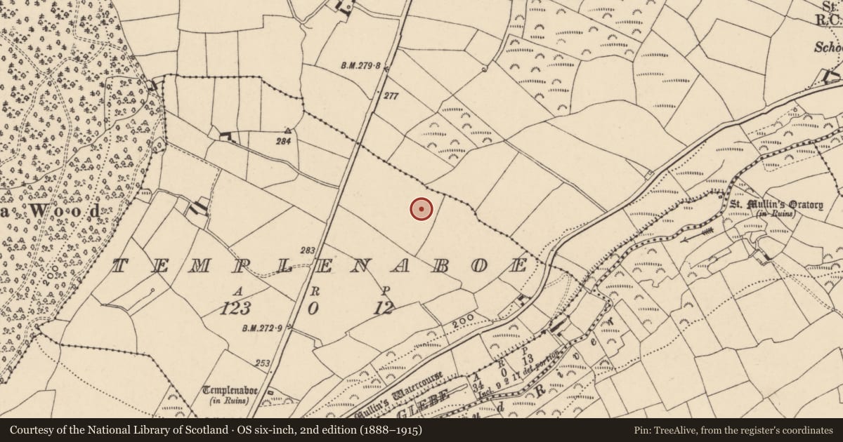 Ordnance Survey six-inch map, 2nd edition (1888–1915) covering the location of Enclosure, Templenaboe, County Carlow, with a pin at the register's coordinates