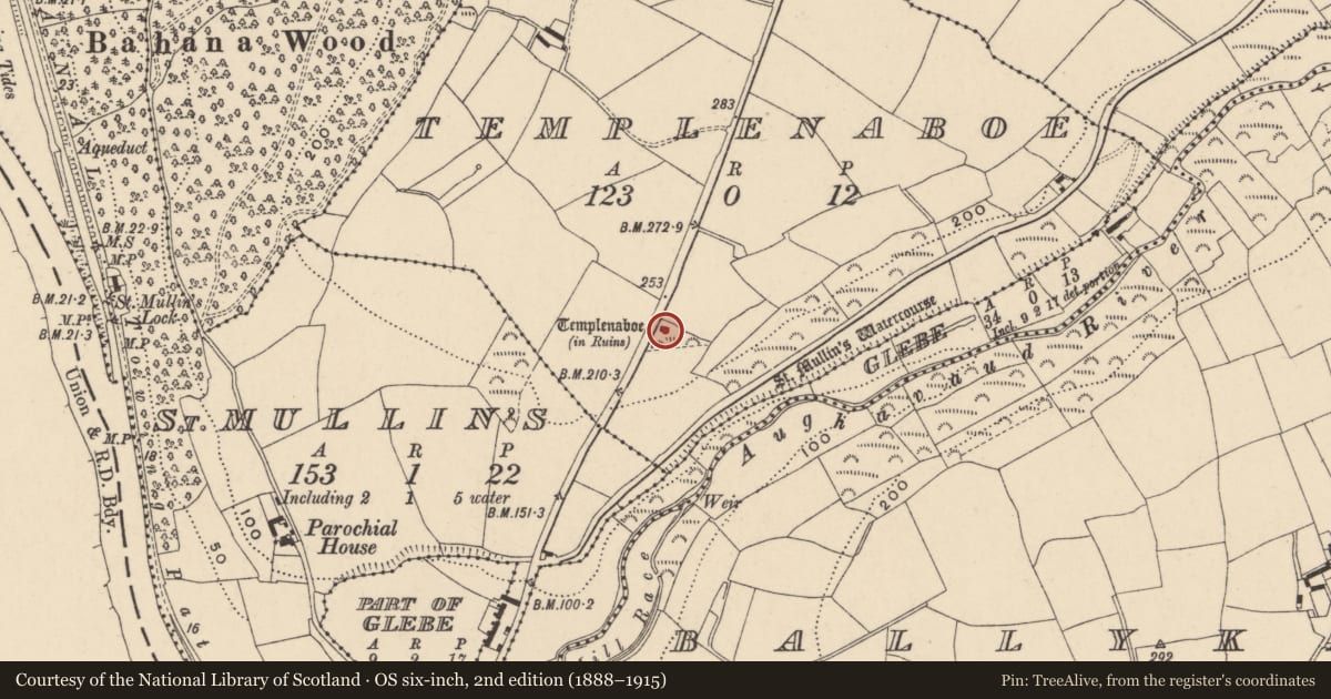 Ordnance Survey six-inch map, 2nd edition (1888–1915) covering the location of Church, Templenaboe, County Carlow, with a pin at the register's coordinates