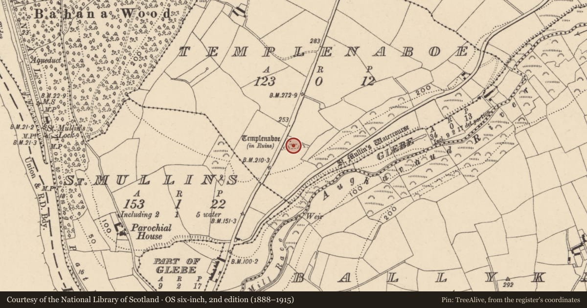 Ordnance Survey six-inch map, 2nd edition (1888–1915) covering the location of Ecclesiastical enclosure, Templenaboe, County Carlow, with a pin at the register's coordinates