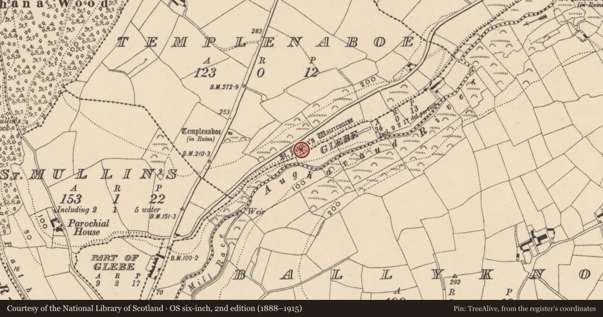 Ordnance Survey six-inch map, 2nd edition (1888–1915) covering the location of Watercourse, County Carlow, with a pin at the register's coordinates