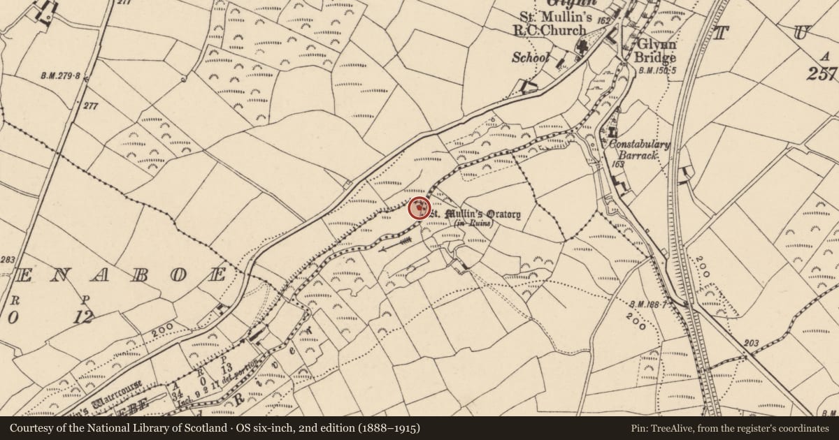 Ordnance Survey six-inch map, 2nd edition (1888–1915) covering the location of Church, Glebe, County Carlow, with a pin at the register's coordinates