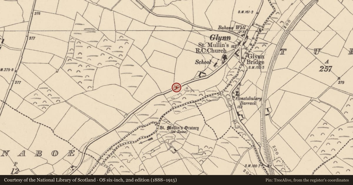Ordnance Survey six-inch map, 2nd edition (1888–1915) covering the location of Earthwork, Bahana, County Carlow, with a pin at the register's coordinates