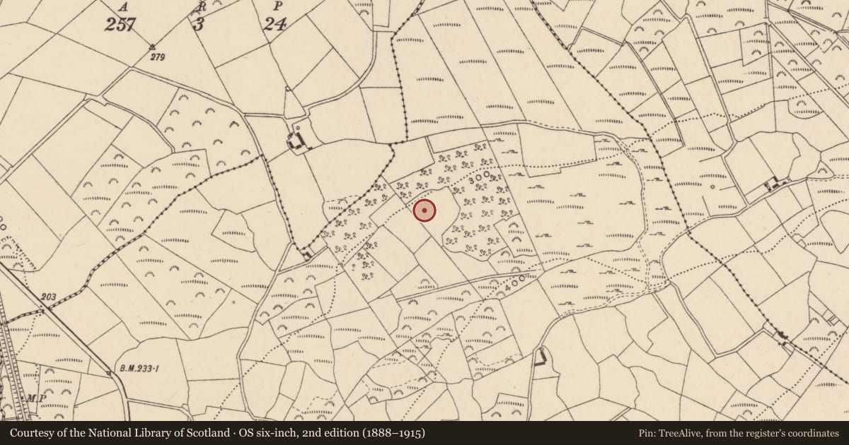 Ordnance Survey six-inch map, 2nd edition (1888–1915) covering the location of Enclosure, Dranagh, County Carlow, with a pin at the register's coordinates