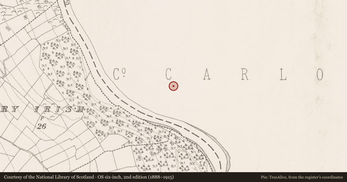 Ordnance Survey six-inch map, 2nd edition (1888–1915) covering the location of Historic town, County Carlow, with a pin at the register's coordinates