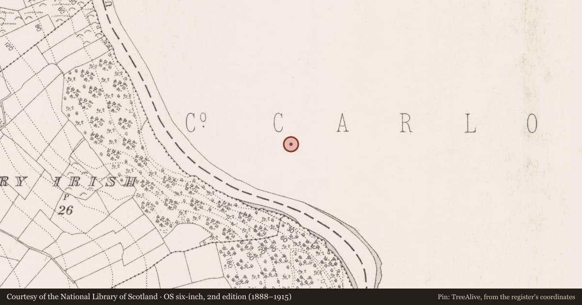 Ordnance Survey six-inch map, 2nd edition (1888–1915) covering the location of Graveyard, St. Mullin'S, County Carlow, with a pin at the register's coordinates