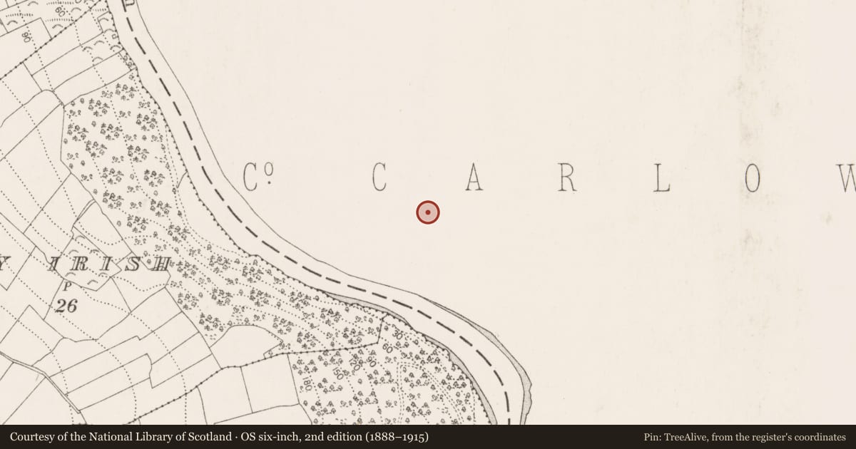 Ordnance Survey six-inch map, 2nd edition (1888–1915) covering the location of Cross - High cross, St. Mullin'S, County Carlow, with a pin at the register's coordinates