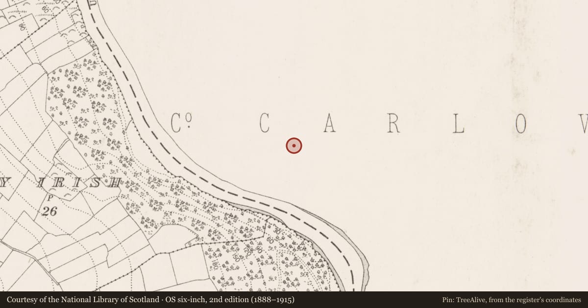 Ordnance Survey six-inch map, 2nd edition (1888–1915) covering the location of Church, St. Mullin'S, County Carlow, with a pin at the register's coordinates