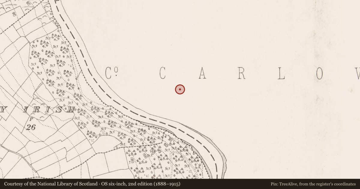 Ordnance Survey six-inch map, 2nd edition (1888–1915) covering the location of Church, St. Mullin'S, County Carlow, with a pin at the register's coordinates