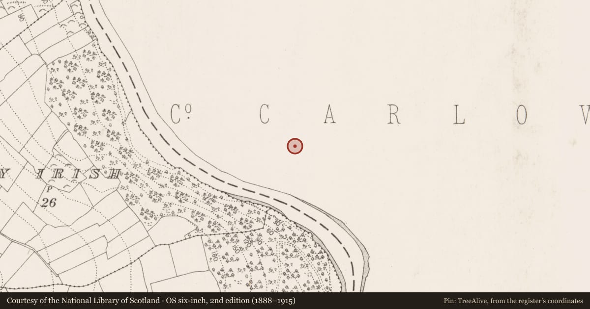 Ordnance Survey six-inch map, 2nd edition (1888–1915) covering the location of Church, St. Mullin'S, County Carlow, with a pin at the register's coordinates