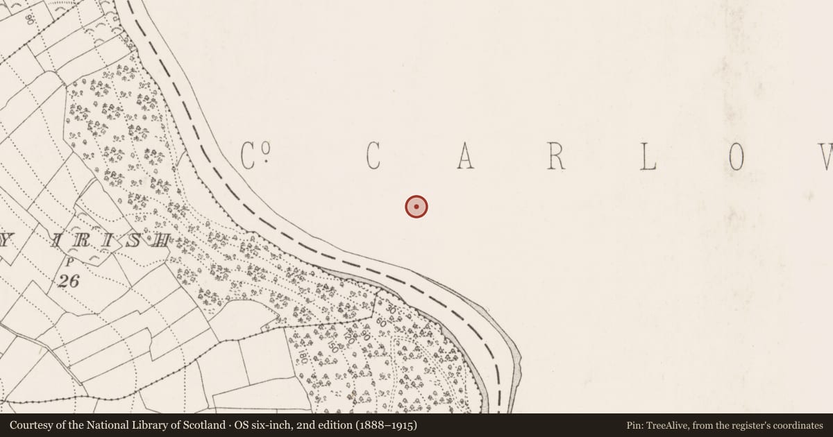 Ordnance Survey six-inch map, 2nd edition (1888–1915) covering the location of Building, St. Mullin'S, County Carlow, with a pin at the register's coordinates