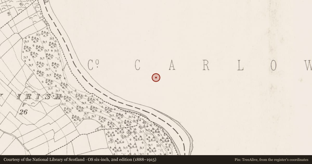 Ordnance Survey six-inch map, 2nd edition (1888–1915) covering the location of Church, St. Mullin'S, County Carlow, with a pin at the register's coordinates