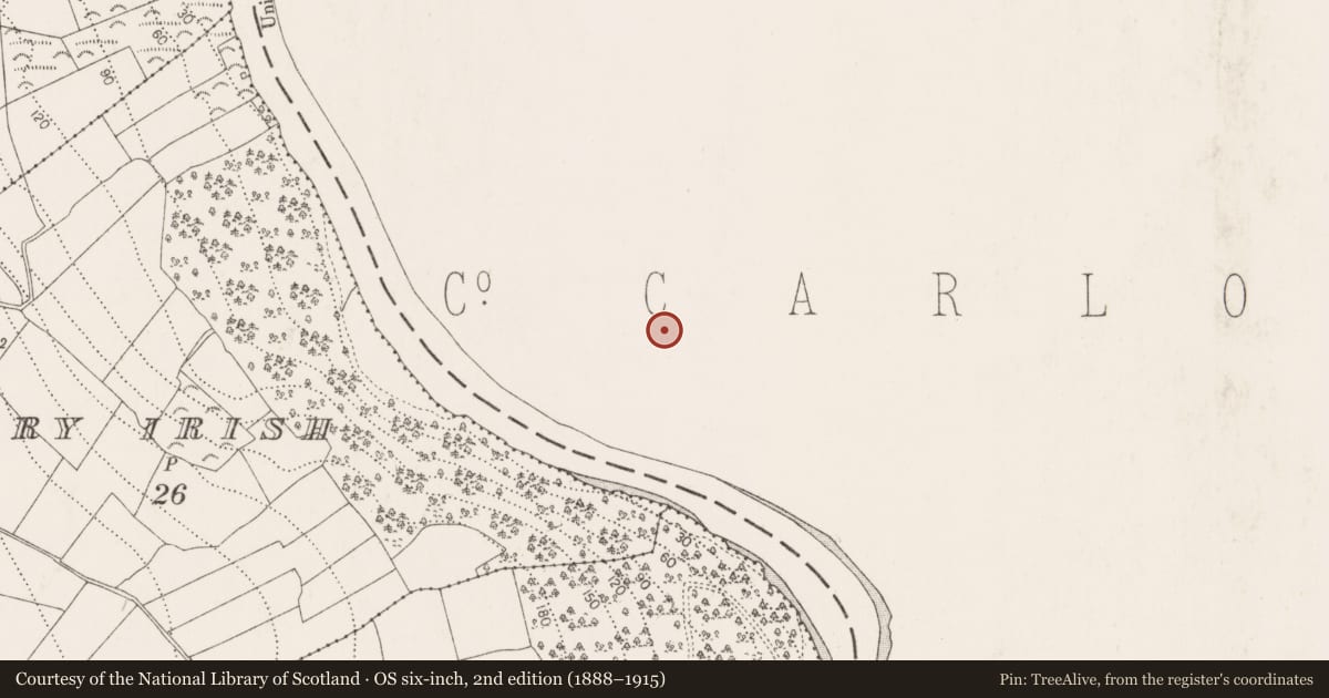 Ordnance Survey six-inch map, 2nd edition (1888–1915) covering the location of Church, St. Mullin'S, County Carlow, with a pin at the register's coordinates