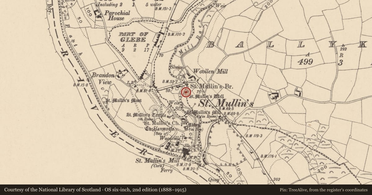 Ordnance Survey six-inch map, 2nd edition (1888–1915) covering the location of Ritual site - holy well, St. Mullin'S, County Carlow, with a pin at the register's coordinates