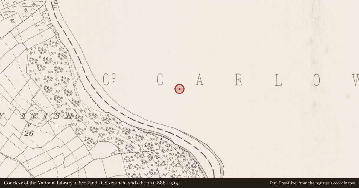 Ordnance Survey six-inch map, 2nd edition (1888–1915) covering the location of Mill - unclassified, St. Mullin'S, County Carlow, with a pin at the register's coordinates