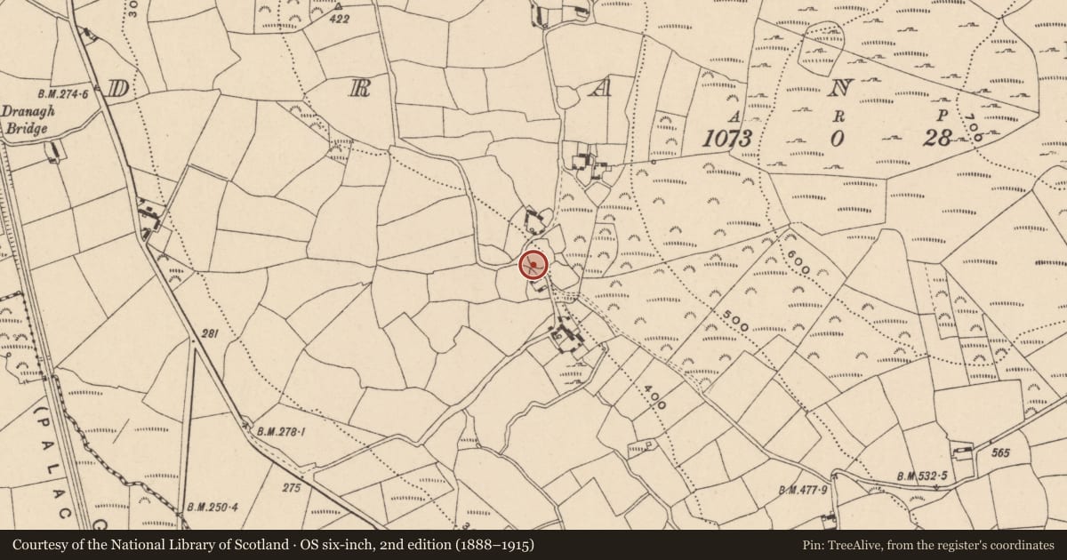 Ordnance Survey six-inch map, 2nd edition (1888–1915) covering the location of Enclosure, Dranagh, County Carlow, with a pin at the register's coordinates