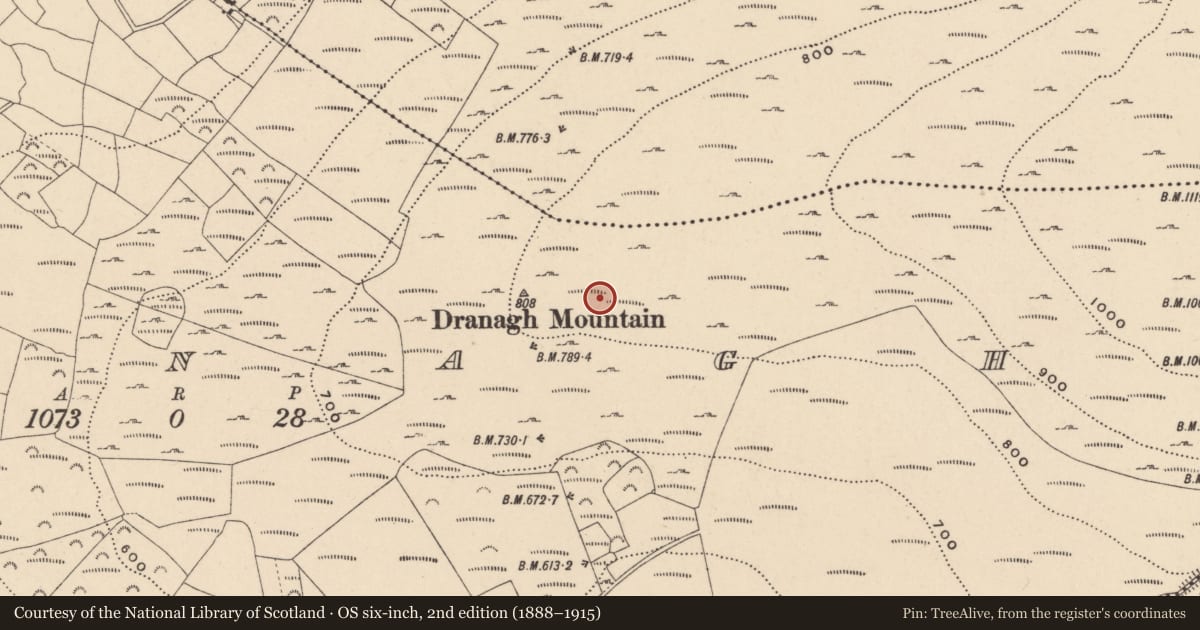 Ordnance Survey six-inch map, 2nd edition (1888–1915) covering the location of Cairnfield, Ballycrinnigan, Dranagh, County Carlow, with a pin at the register's coordinates
