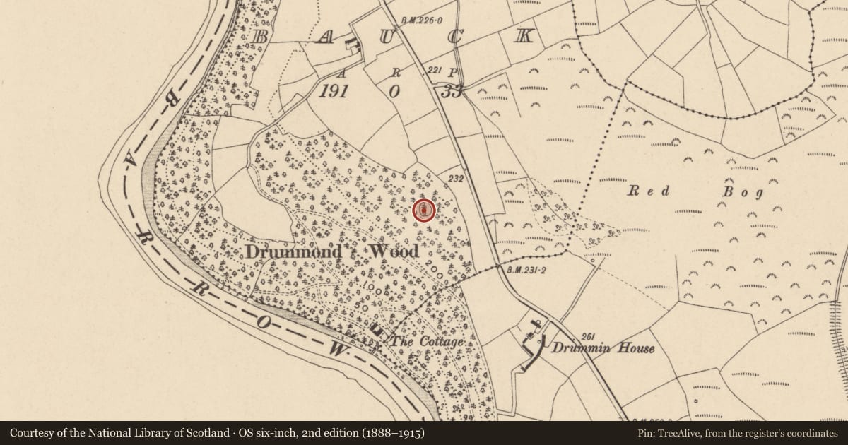 Ordnance Survey six-inch map, 2nd edition (1888–1915) covering the location of Ringfort - cashel, Bauck, County Carlow, with a pin at the register's coordinates