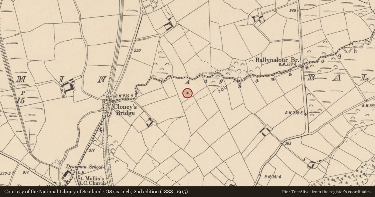 Ordnance Survey six-inch map, 2nd edition (1888–1915) covering the location of Enclosure, Ballynalour, County Carlow, with a pin at the register's coordinates