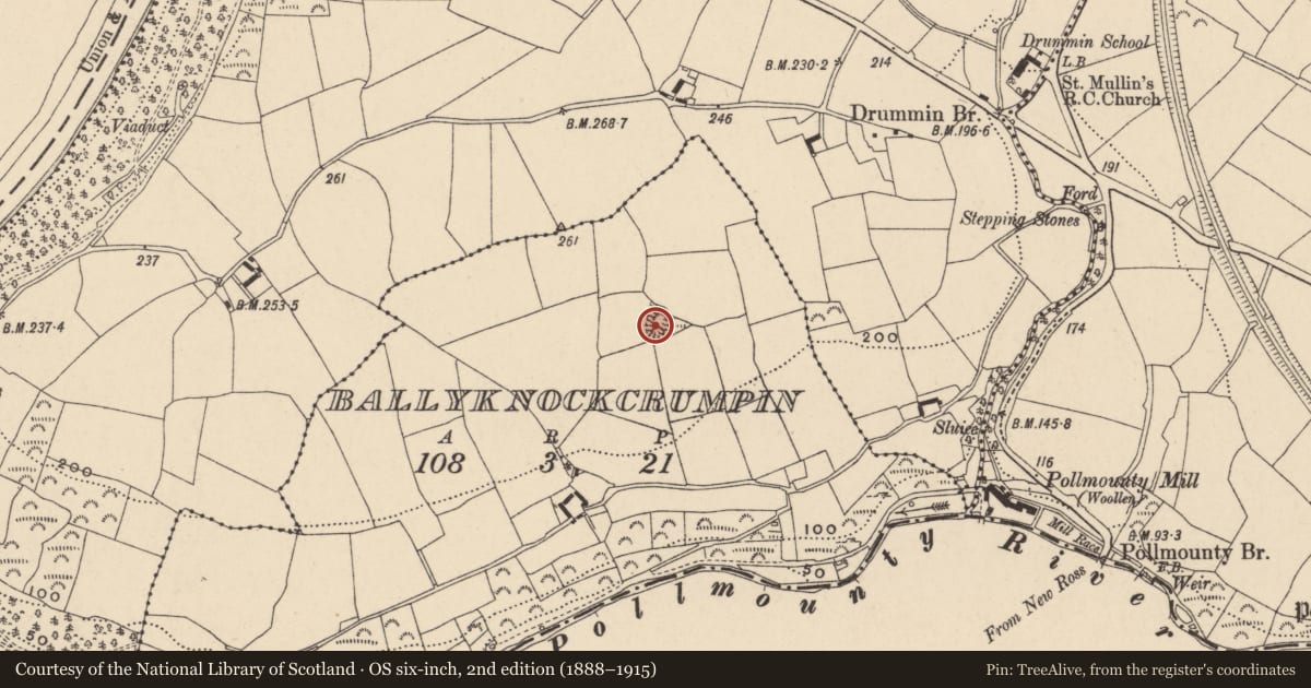 Ordnance Survey six-inch map, 2nd edition (1888–1915) covering the location of Ringfort - cashel, Ballyknockcrumpin, County Carlow, with a pin at the register's coordinates